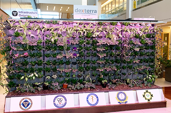 Décoration florale avec panneaux Trillium de l'Ontario